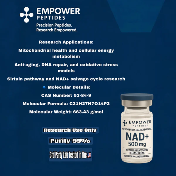 NAD+ 3 NAD+ - Image 3